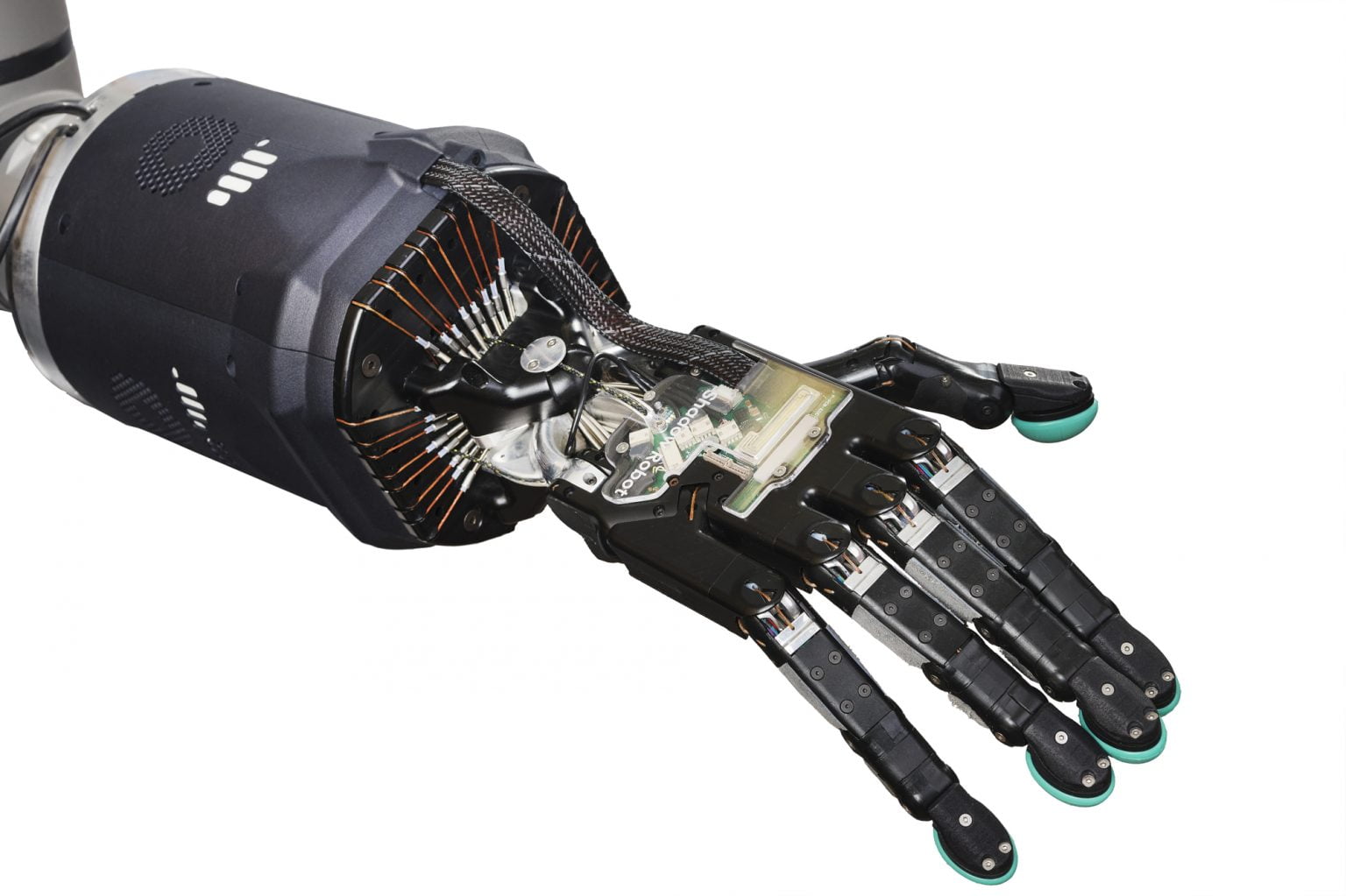 Shadow Dexterous Hand with BioTac® SP, outer palm