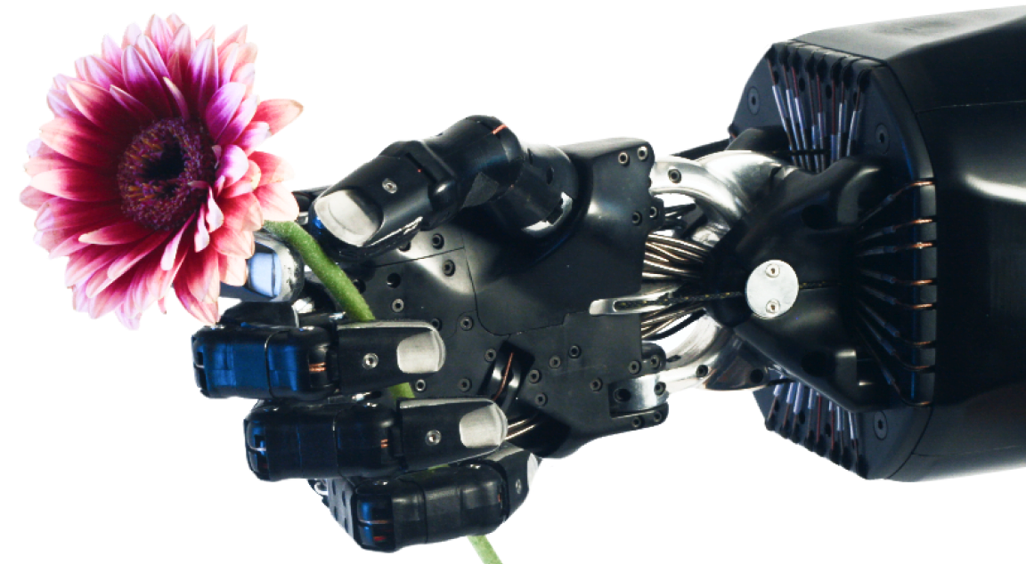 Dexterous Hand, gently holding a flower